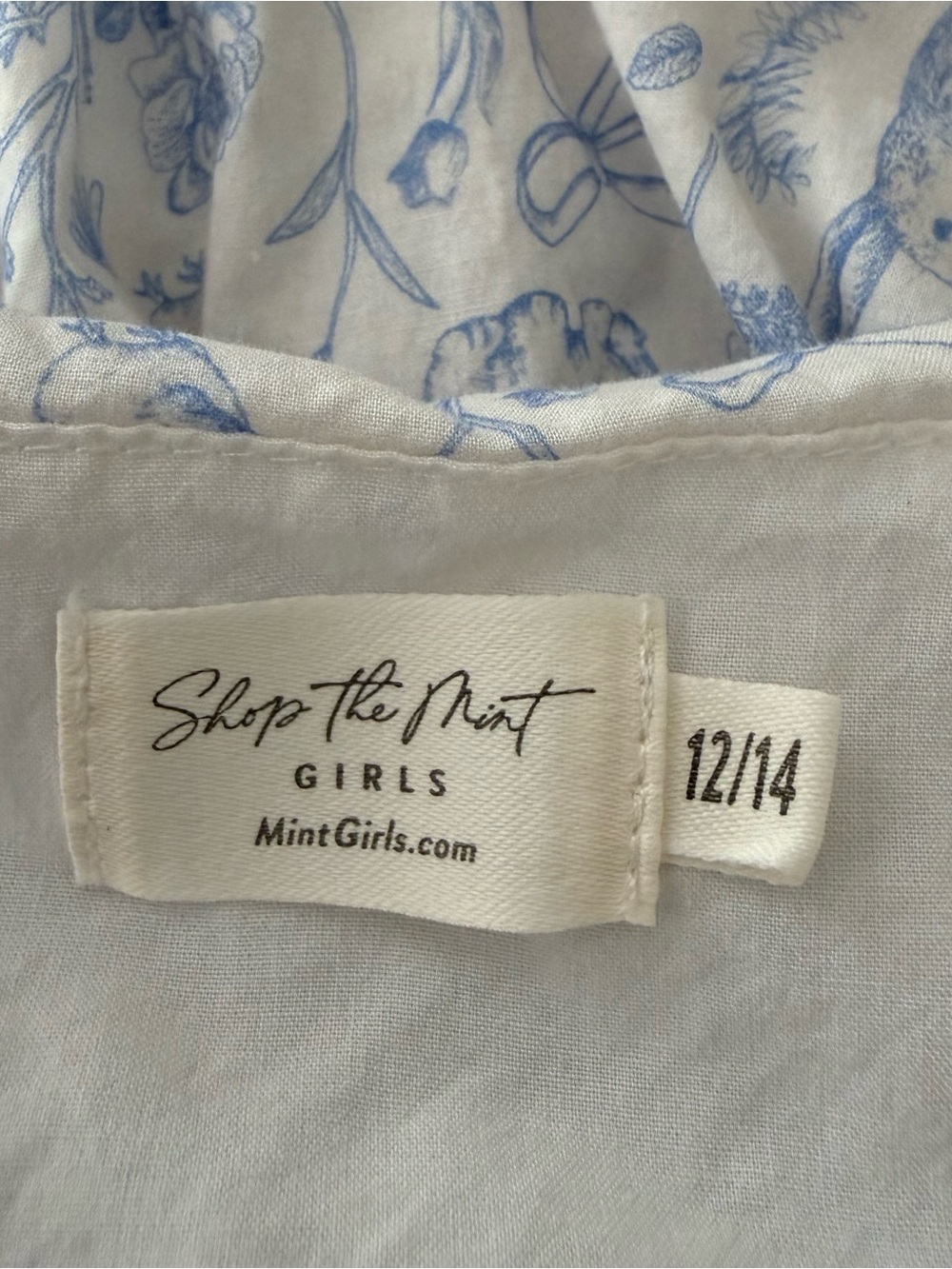Shop The Mint Girls Dress Ruffle Blue Spring Bunnies Size 12-14. - Picture 4 of 4